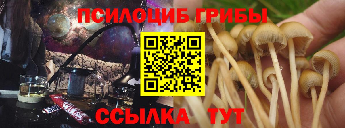 Галлюциногенные грибы прущие грибы Вязники