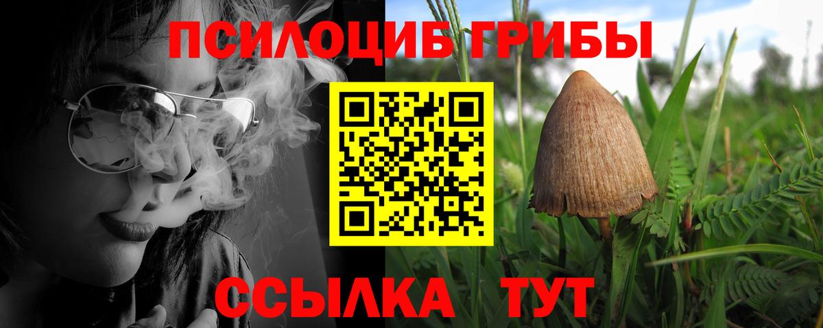 цена наркотик  Вход с VPN  Вязники  Псилоцибиновые грибы Psilocybe 